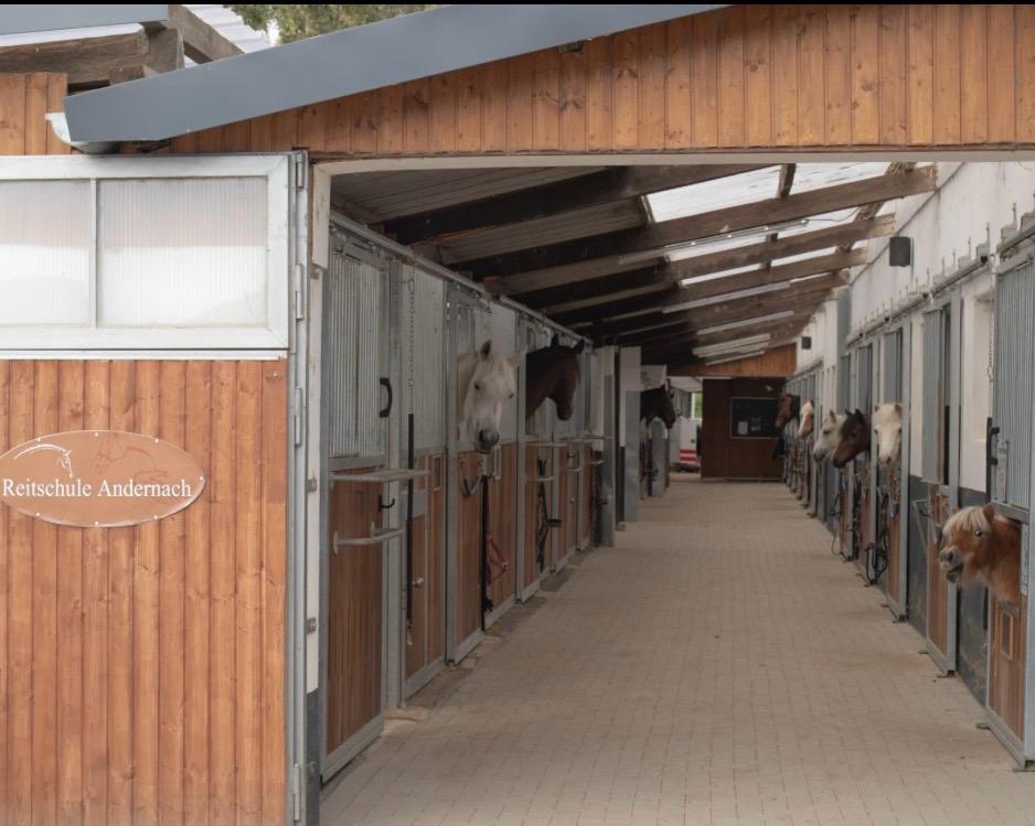 PHOTO 2026 02 24 14 24 24